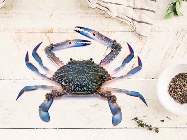FRESH CLEANED & PROCESSED BLUE CRAB - 1 KG